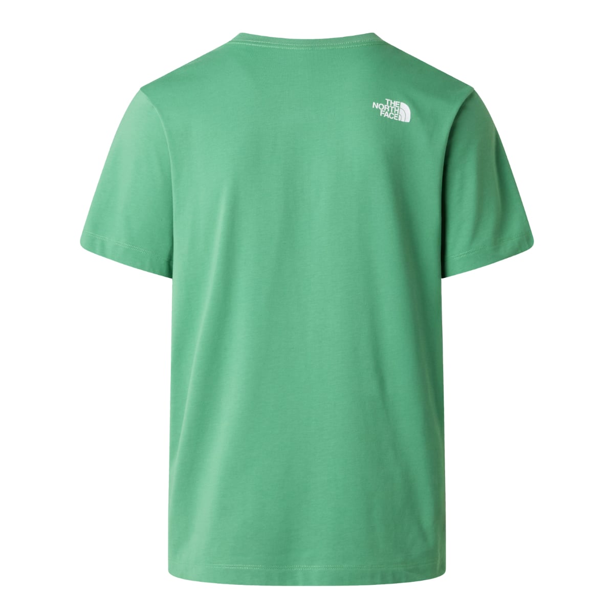 Back view of a Dimmed Algae green The North Face T shirt with small white logo at the upper back