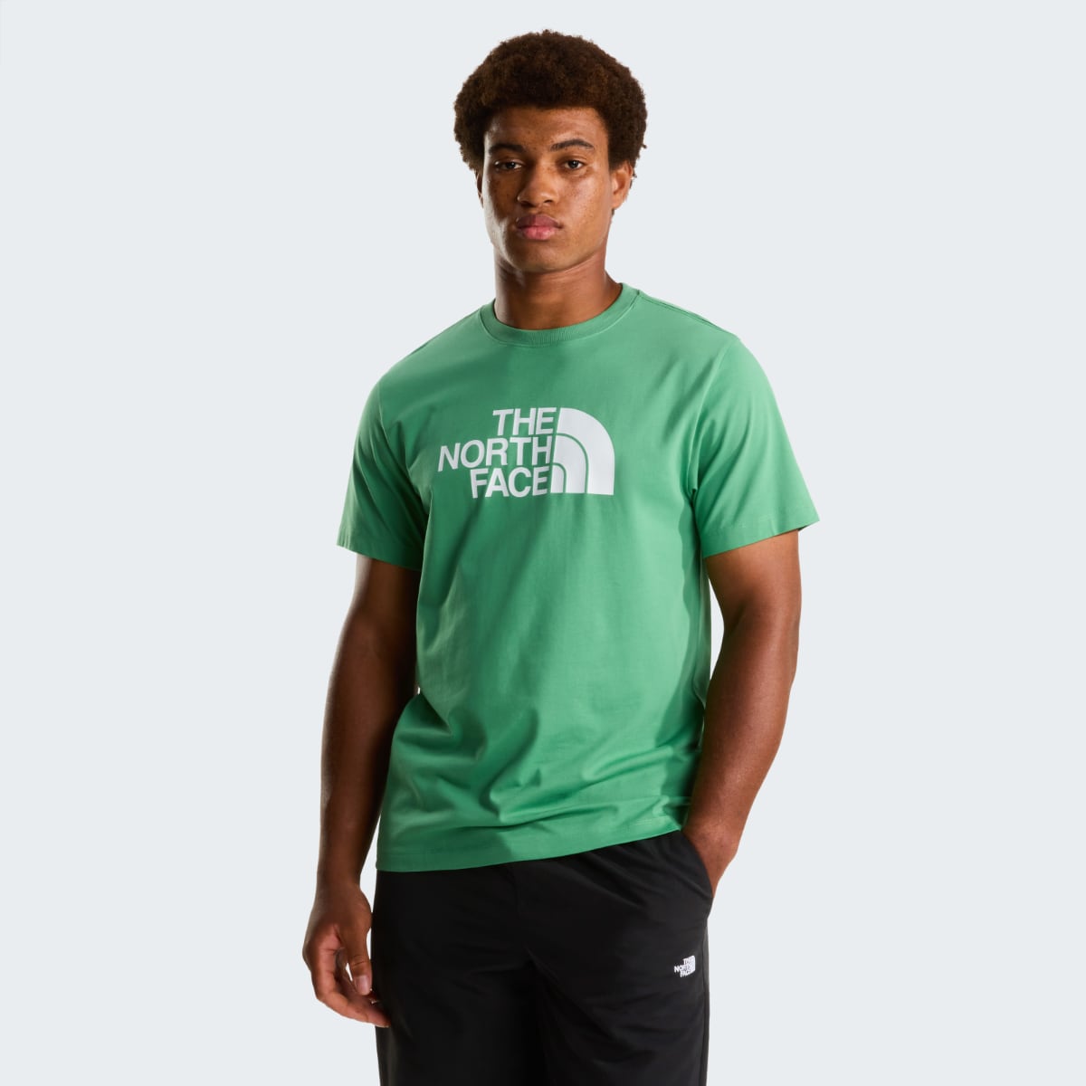 Front view of Dimmed Algae green The North Face Evolution Half Dome short sleeve men's T shirt with white logo on chest