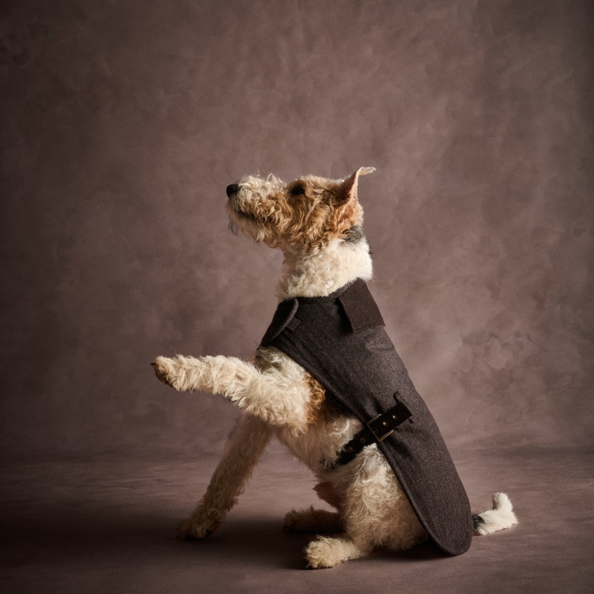 Barbour Barlow Tweed Dog Coat | Brown