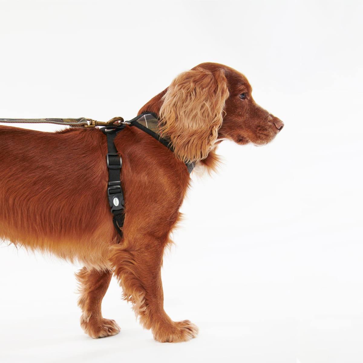 Barbour Tartan Dog Harness | Classic Tartan