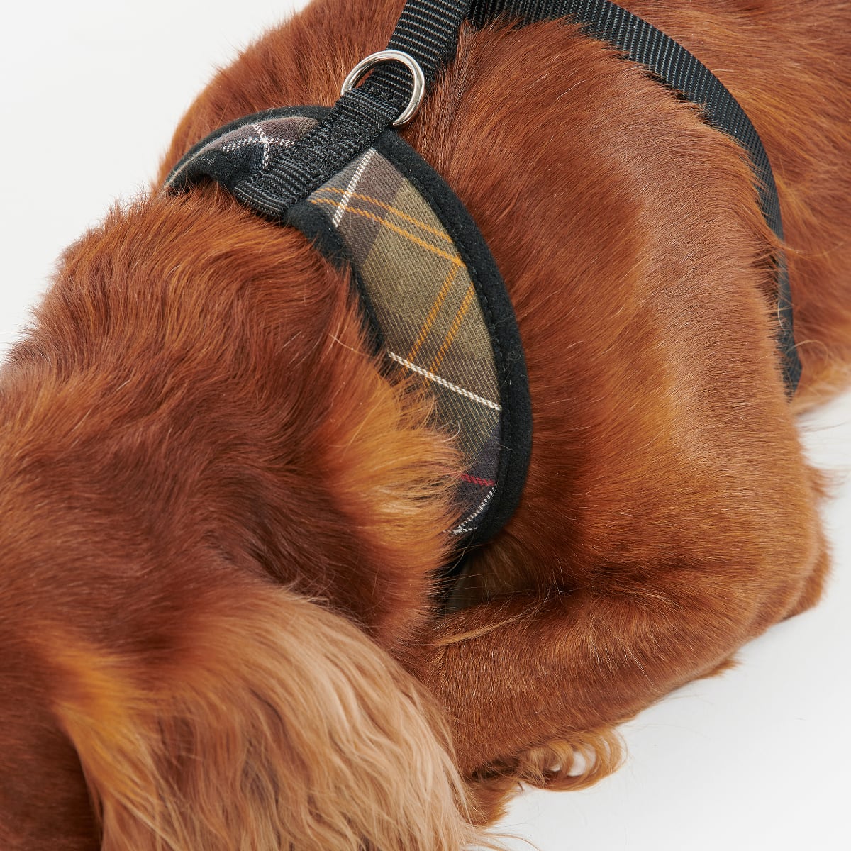 Barbour Tartan Dog Harness | Classic Tartan