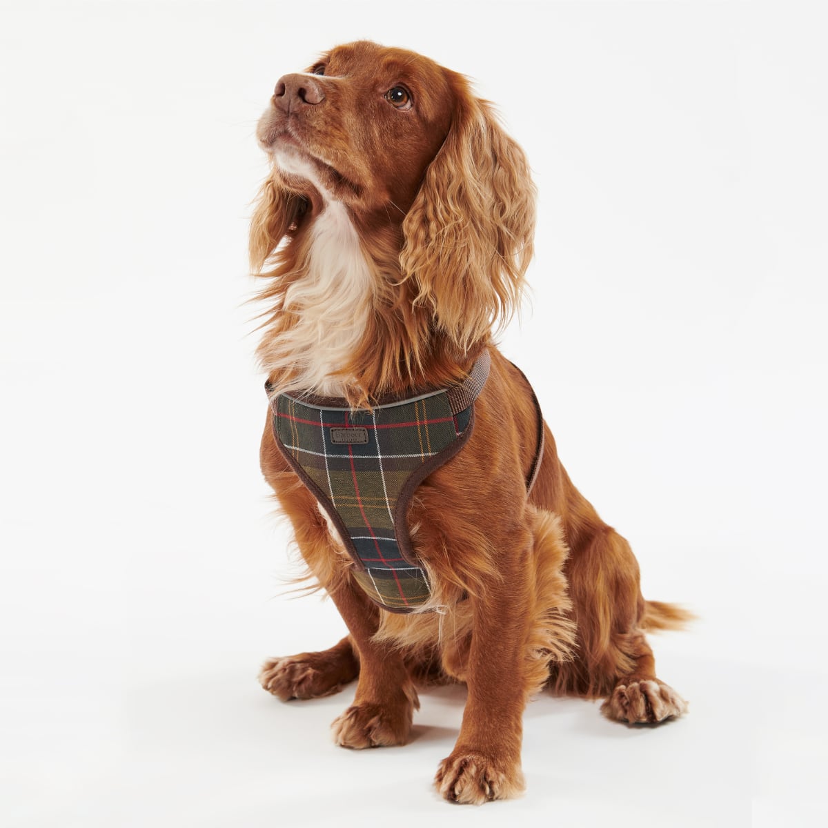 Barbour Travel and Exercise Dog Harness | Classic Tartan