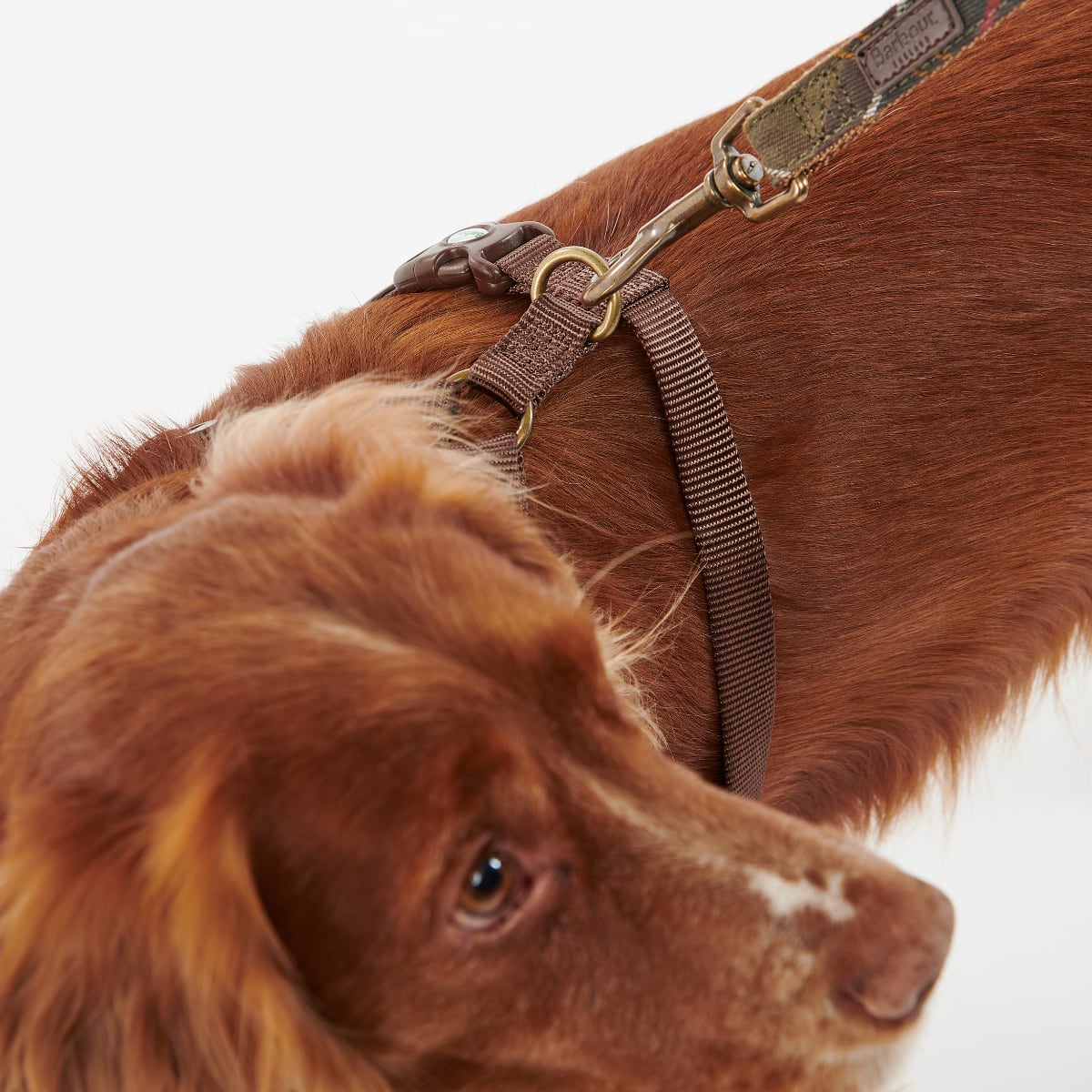 Barbour Travel and Exercise Dog Harness | Classic Tartan