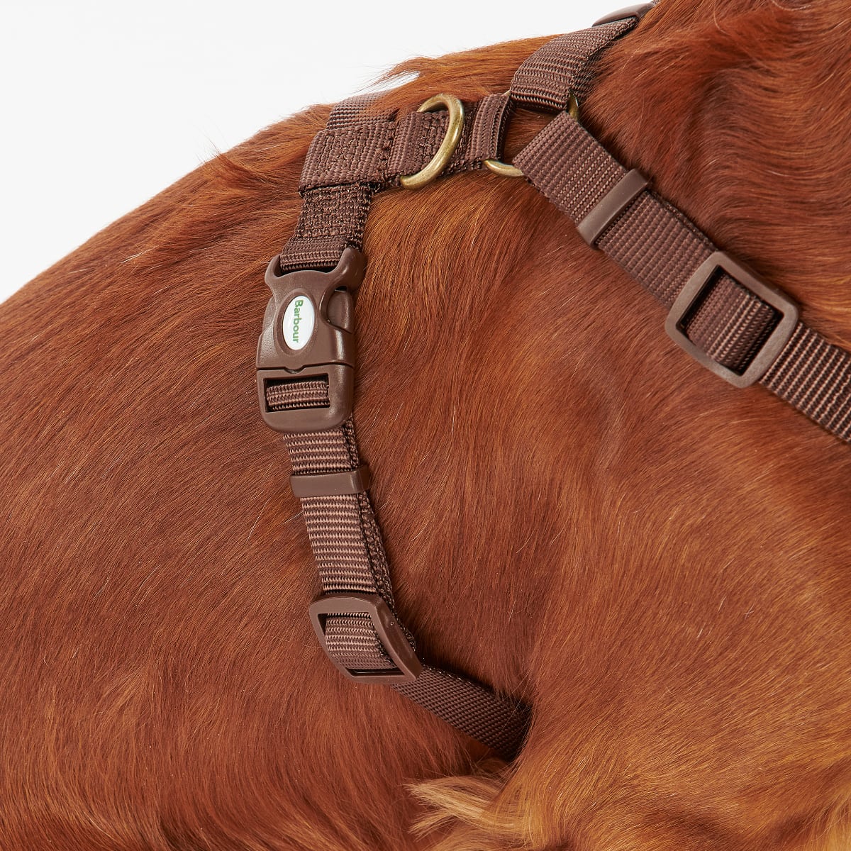 Barbour Travel and Exercise Dog Harness | Classic Tartan