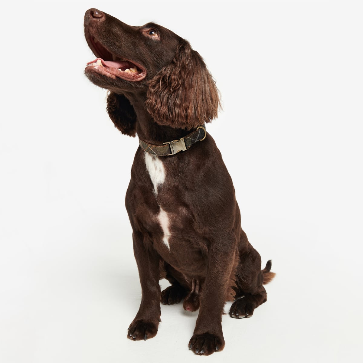 Barbour Reflective Tartan Dog Collar | Classic Tartan