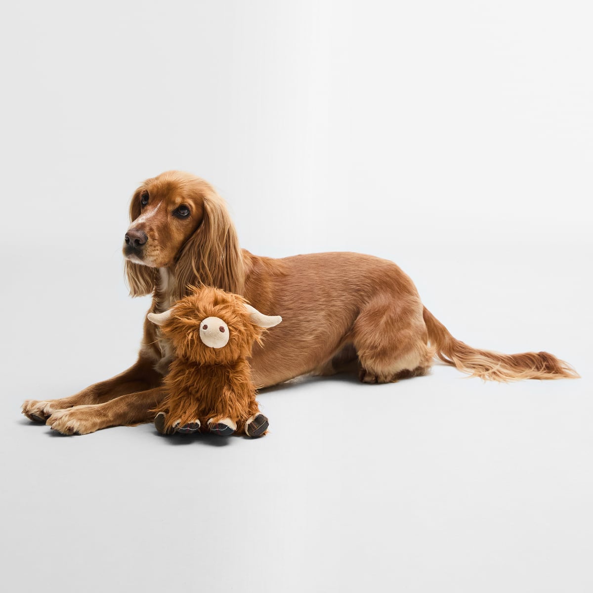 Barbour Highland Cow Dog Toy | Brown