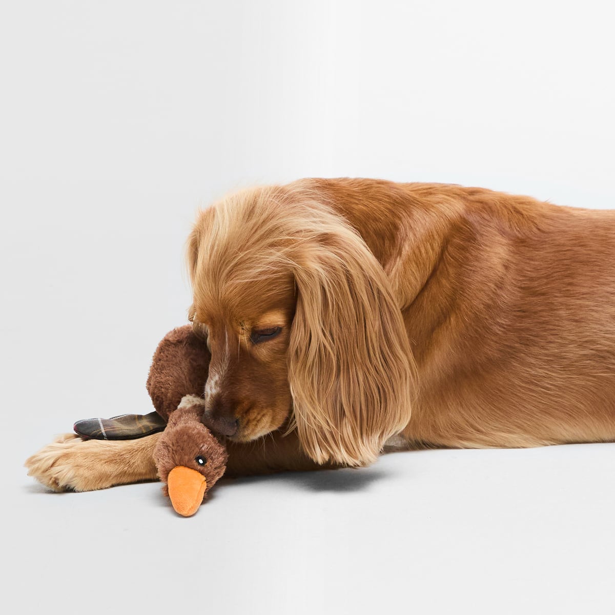 Barbour Flying Duck Dog Toy | Brown