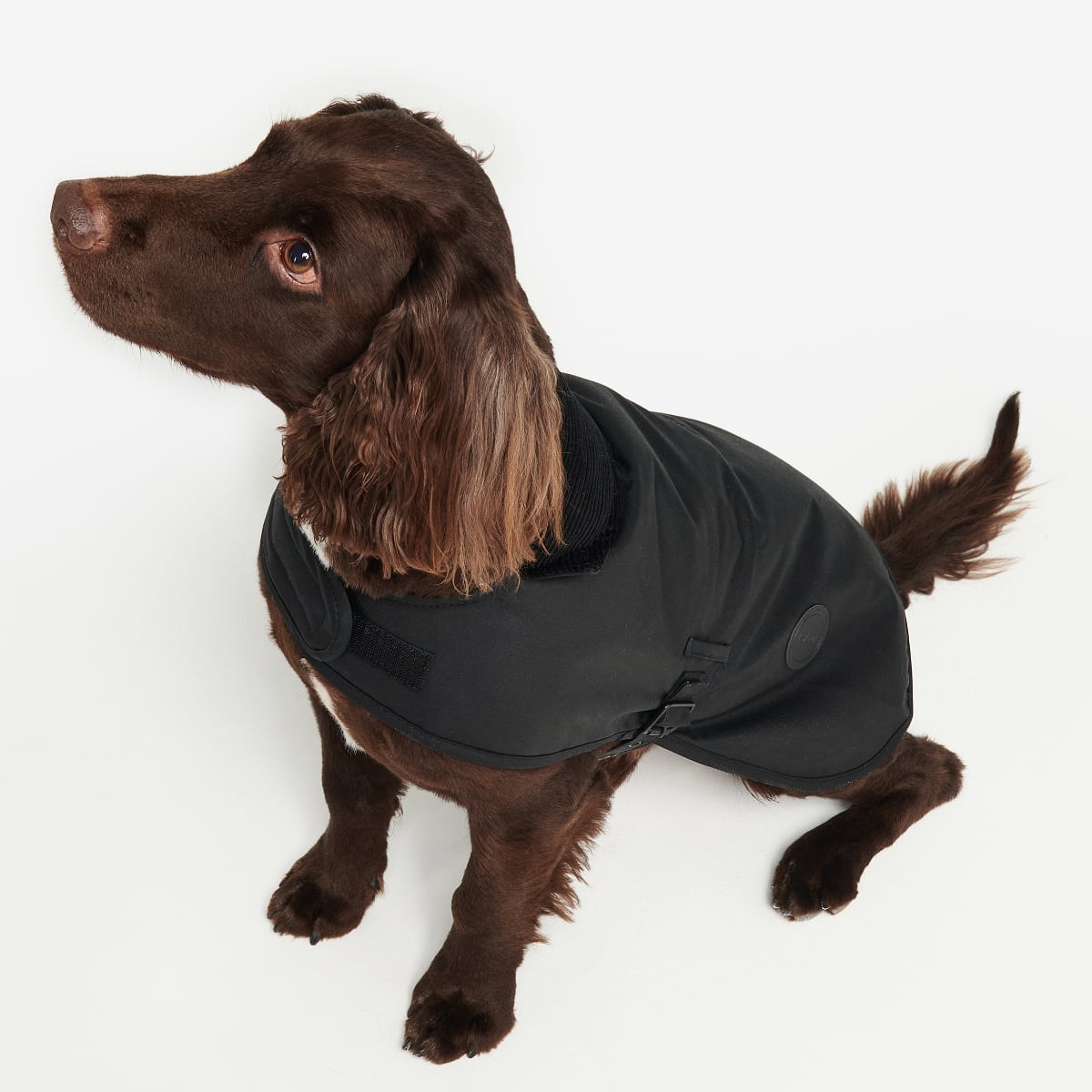 Barbour Wax Dog Coat | Black