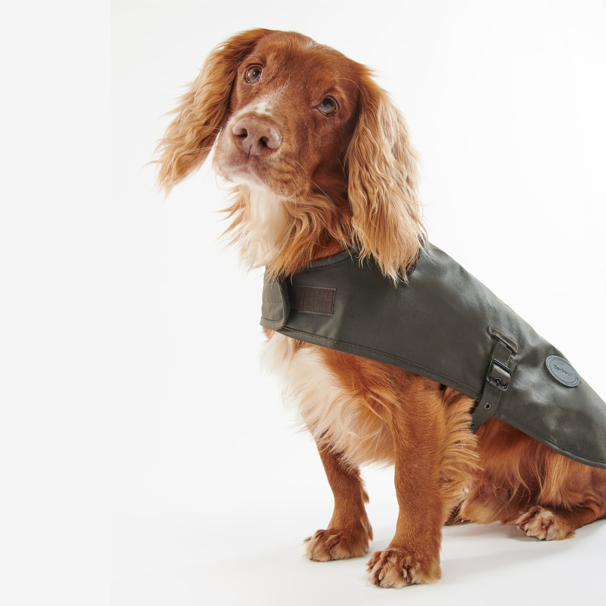 Barbour Wax Dog Coat | Olive