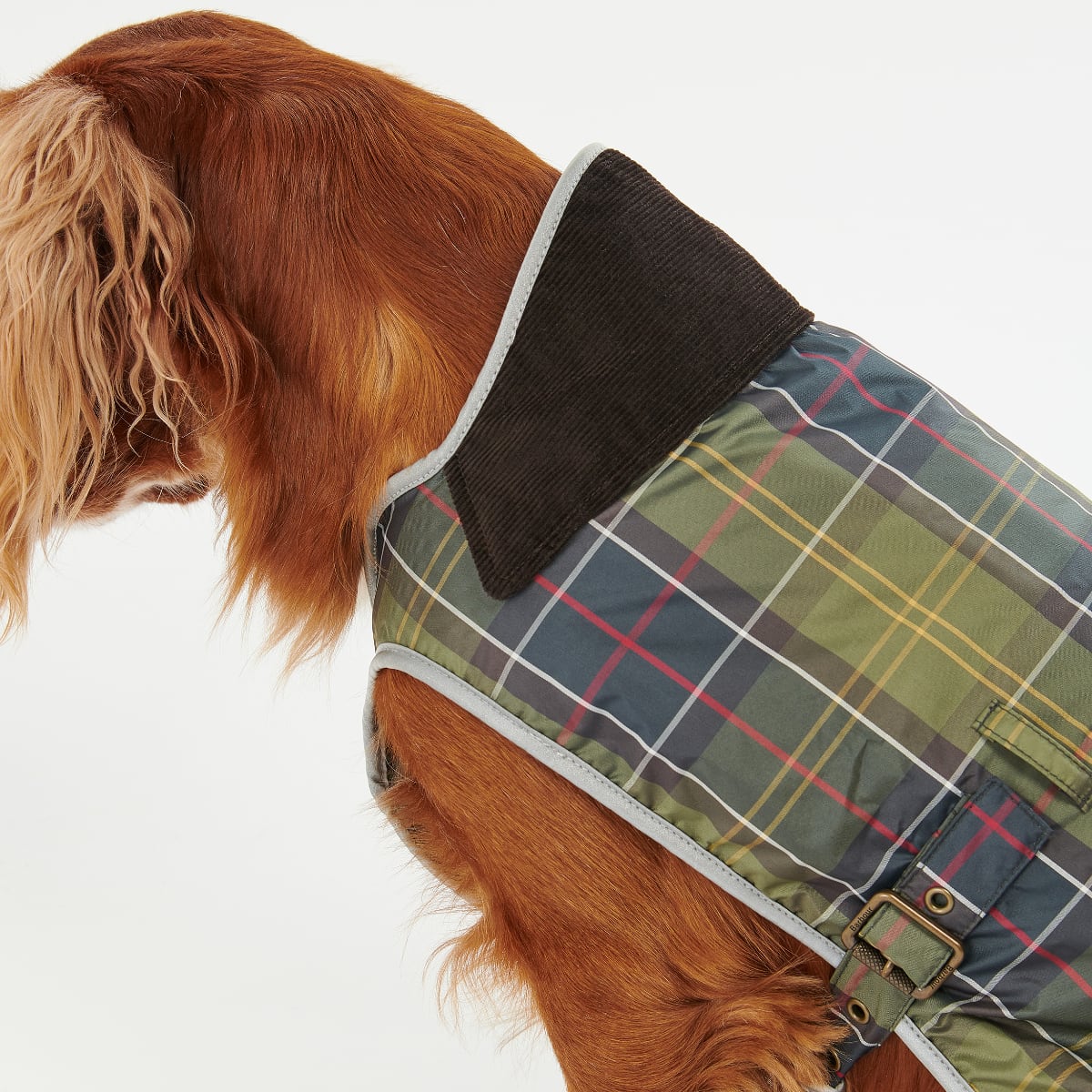 Barbour Waterproof Tartan Dog Coat | Classic Tartan