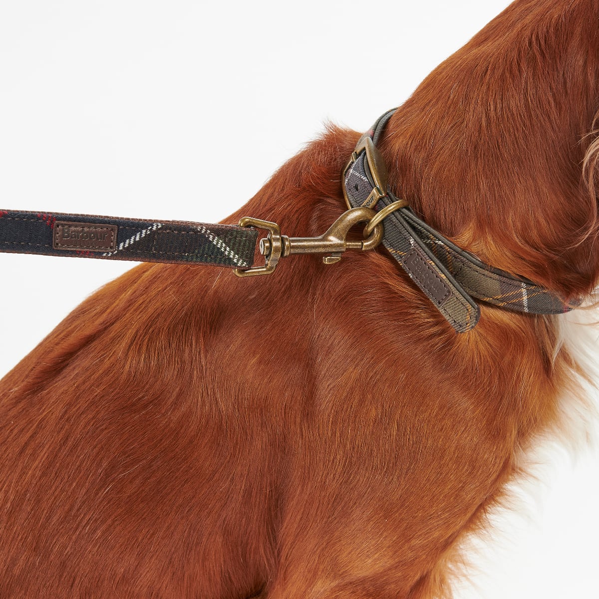 Barbour Tartan Dog Lead | Classic