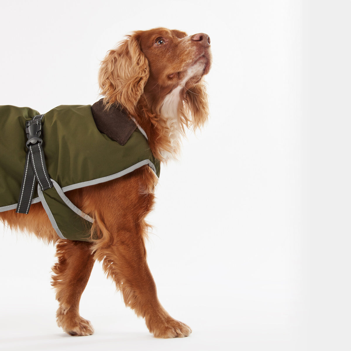 Barbour Monmouth Waterproof Dog Coat | Olive