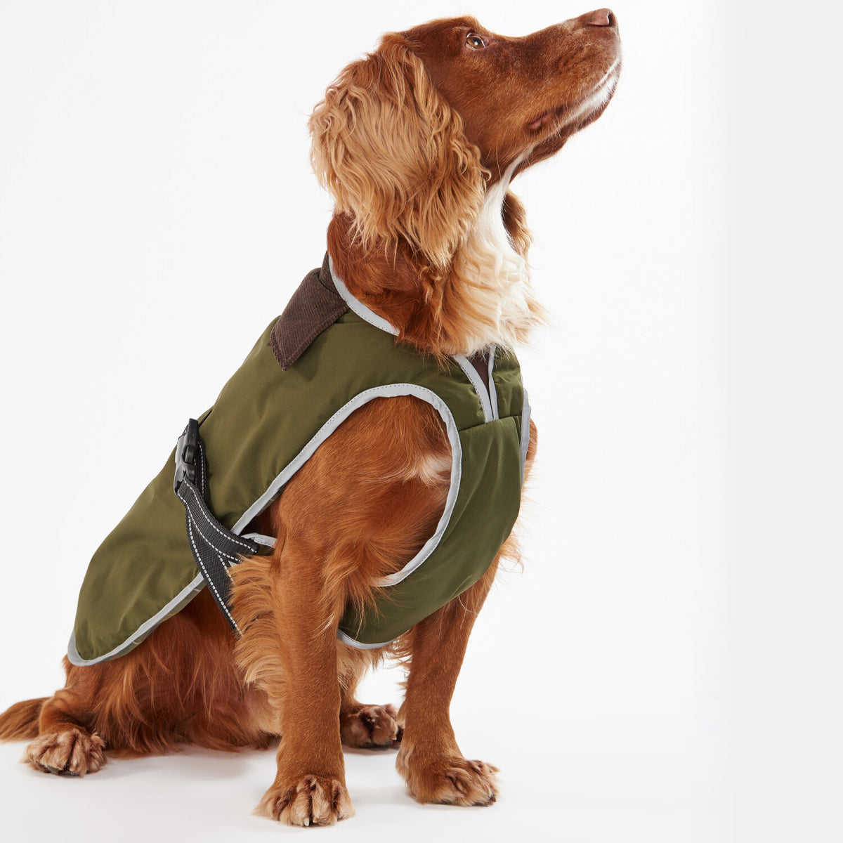 Barbour Monmouth Waterproof Dog Coat | Olive