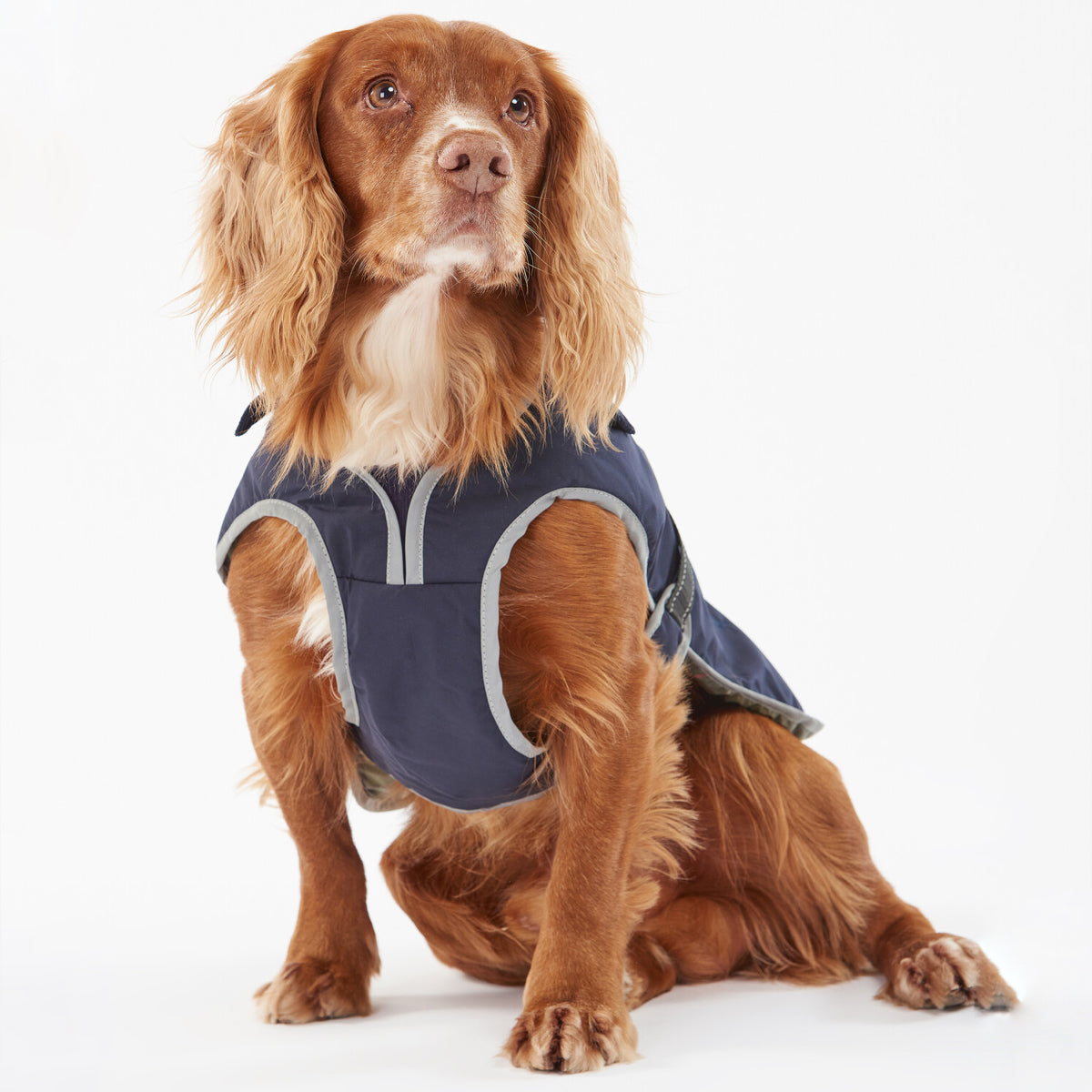 Barbour Monmouth Waterproof Dog Coat Indigo