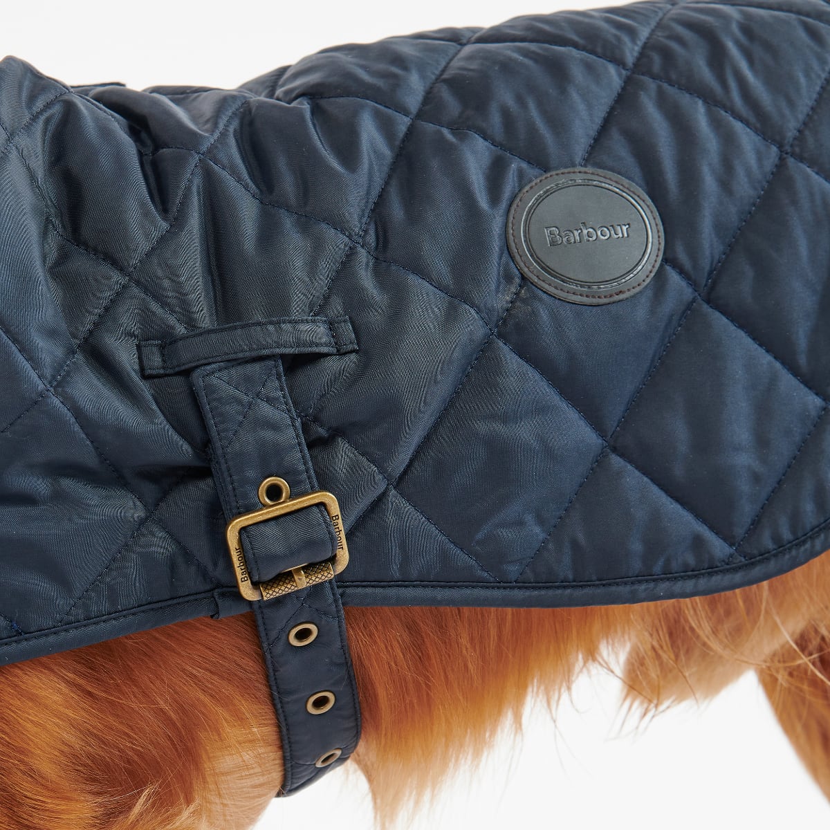 Barbour Quilted Dog Coat | Navy