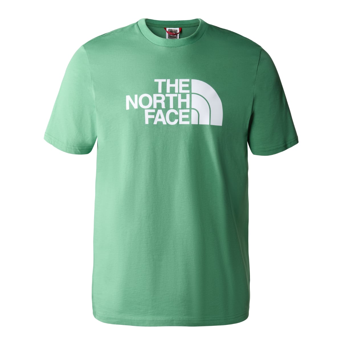 The North Face Easy Men's T-Shirt | Deep Grass Green