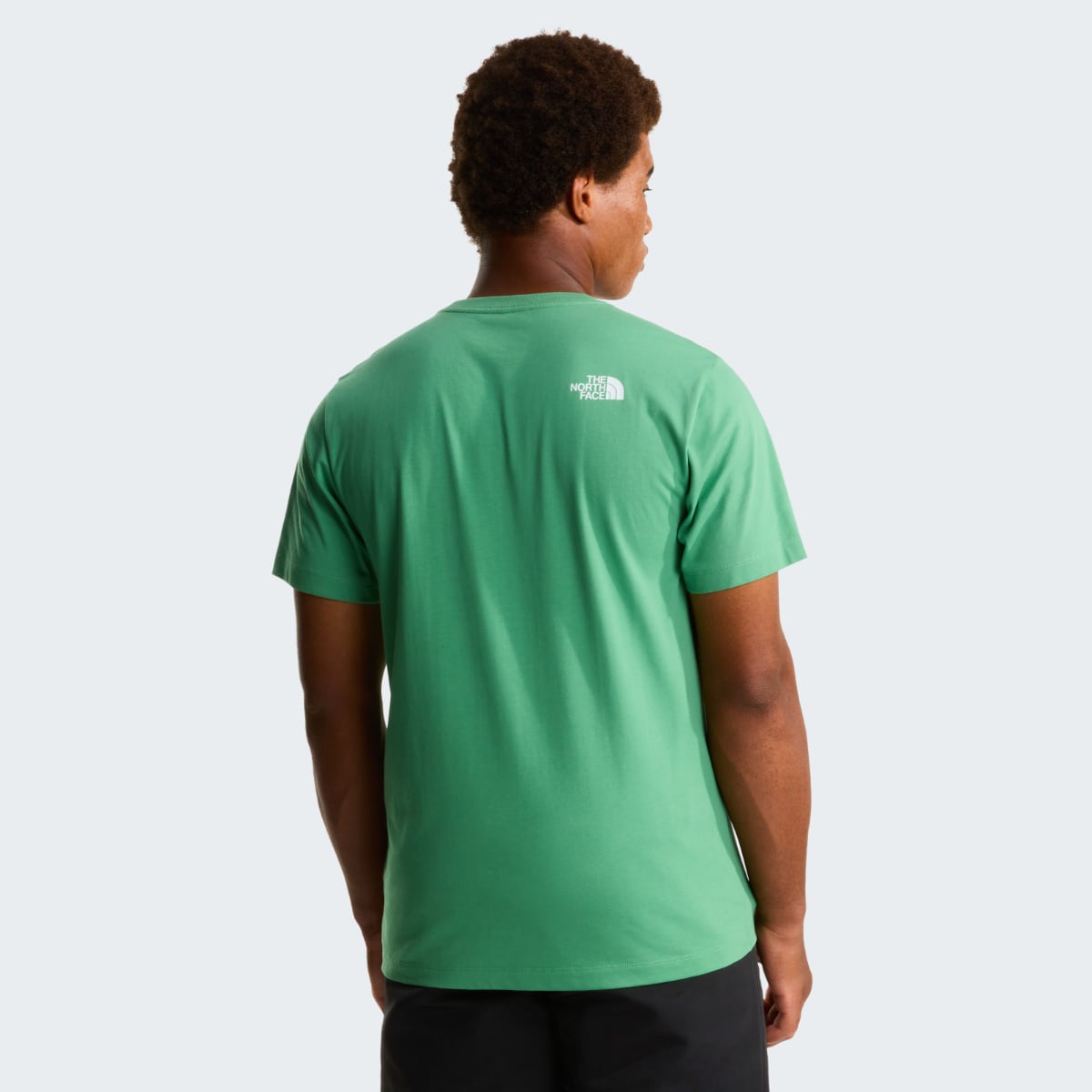 Back view of Dimmed Algae green The North Face Evolution Half Dome short sleeve men's T shirt showing small back logo