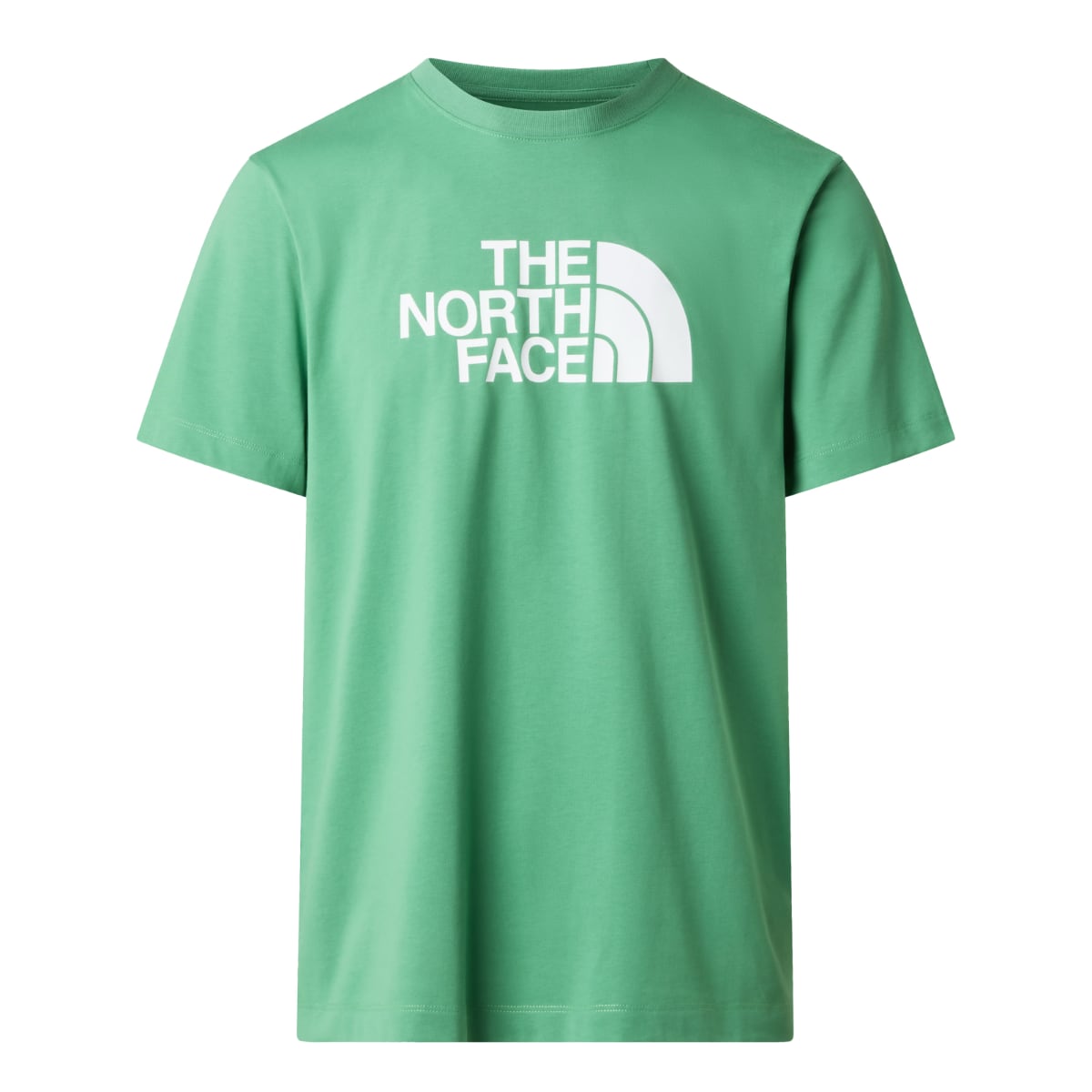 Dimmed Algae green The North Face logo T shirt front view