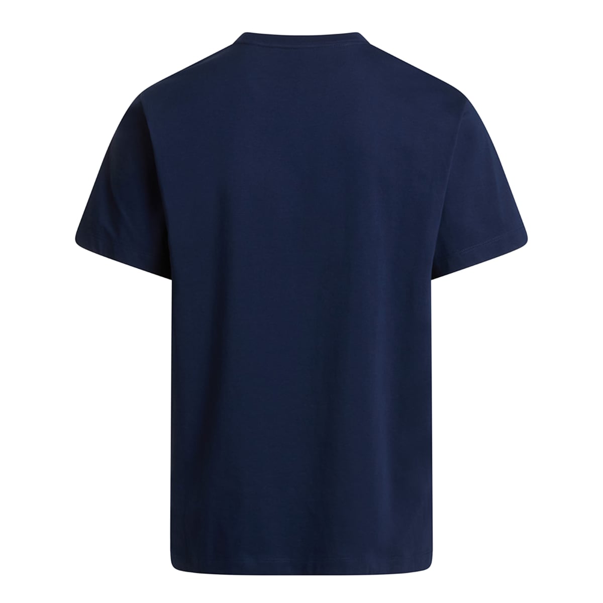 Back view of Summit Navy The North Face Evolution Simple Dome short sleeve men's T shirt
