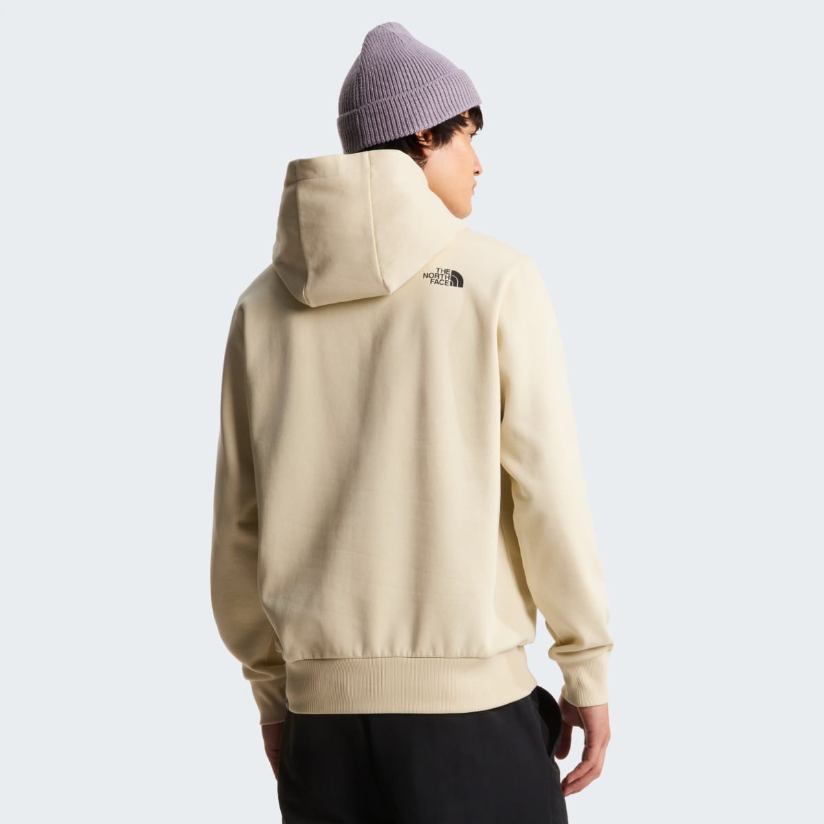 The North Face Evolution Box Half Dome Men's Hoodie | Desert Stone