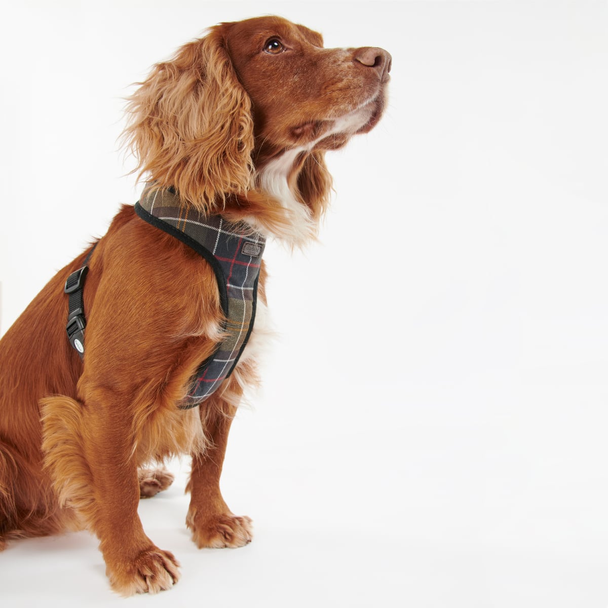 Barbour Tartan Dog Harness | Classic Tartan