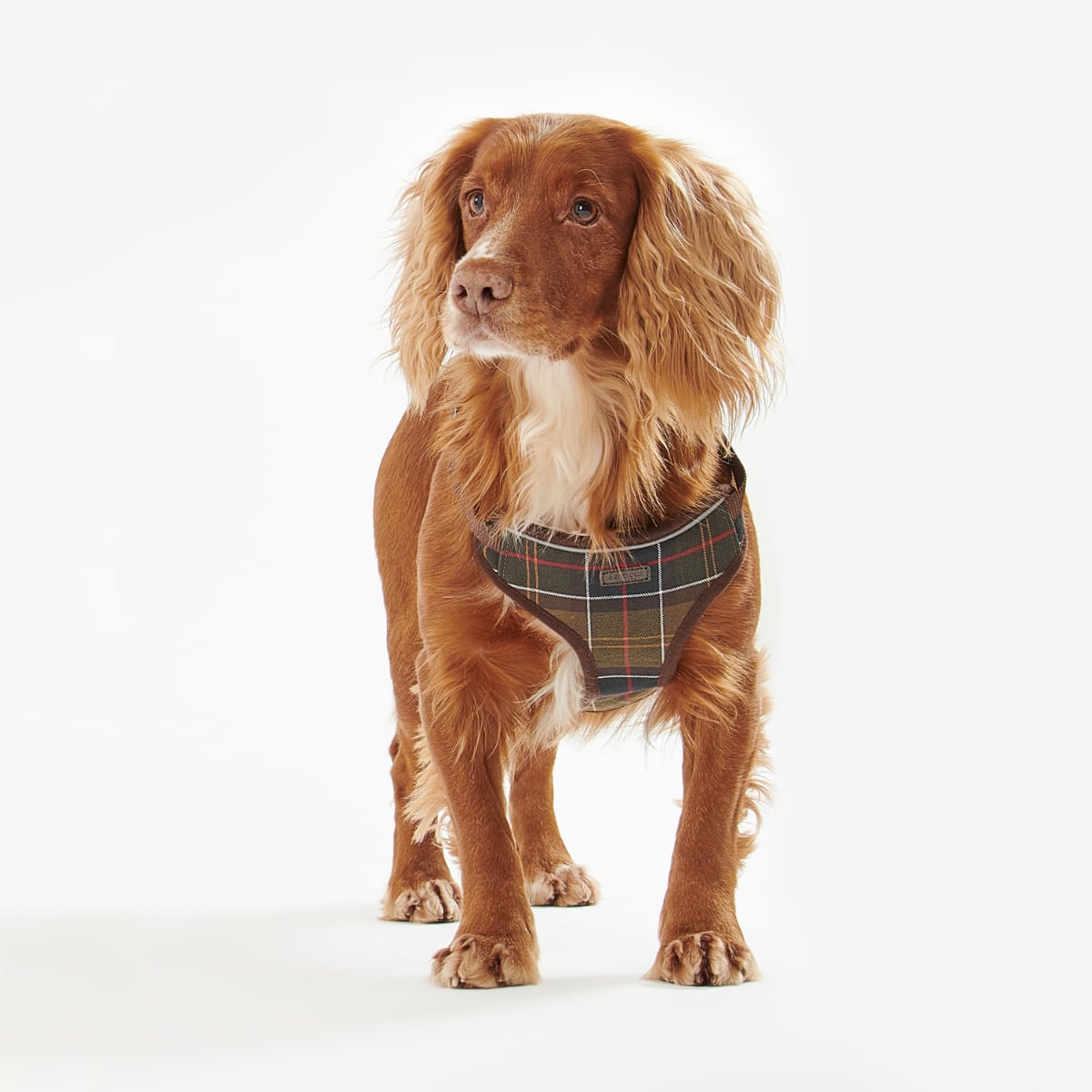 Barbour Travel and Exercise Dog Harness | Classic Tartan