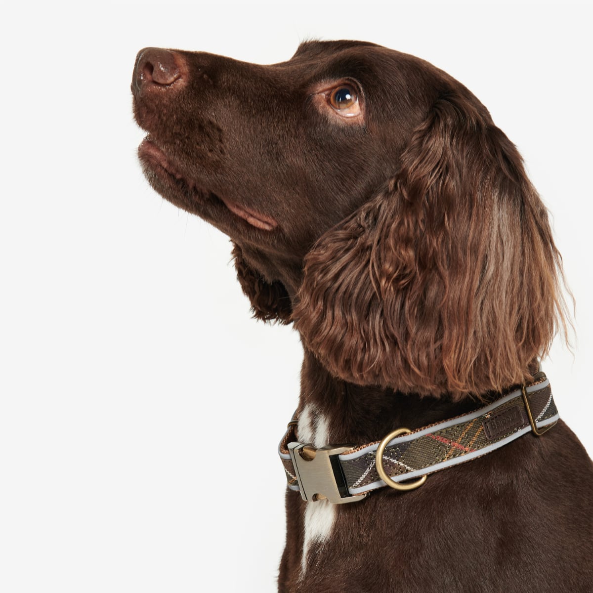 Barbour Reflective Tartan Dog Collar | Classic Tartan