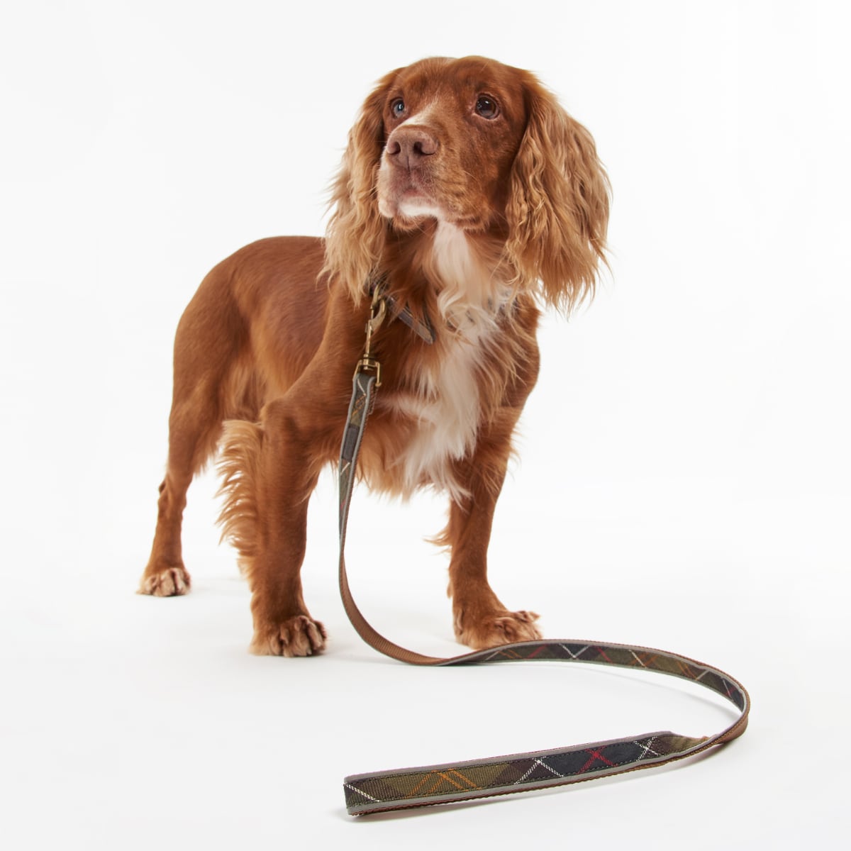 Barbour Reflective Tartan Dog Lead | Classic Tartan