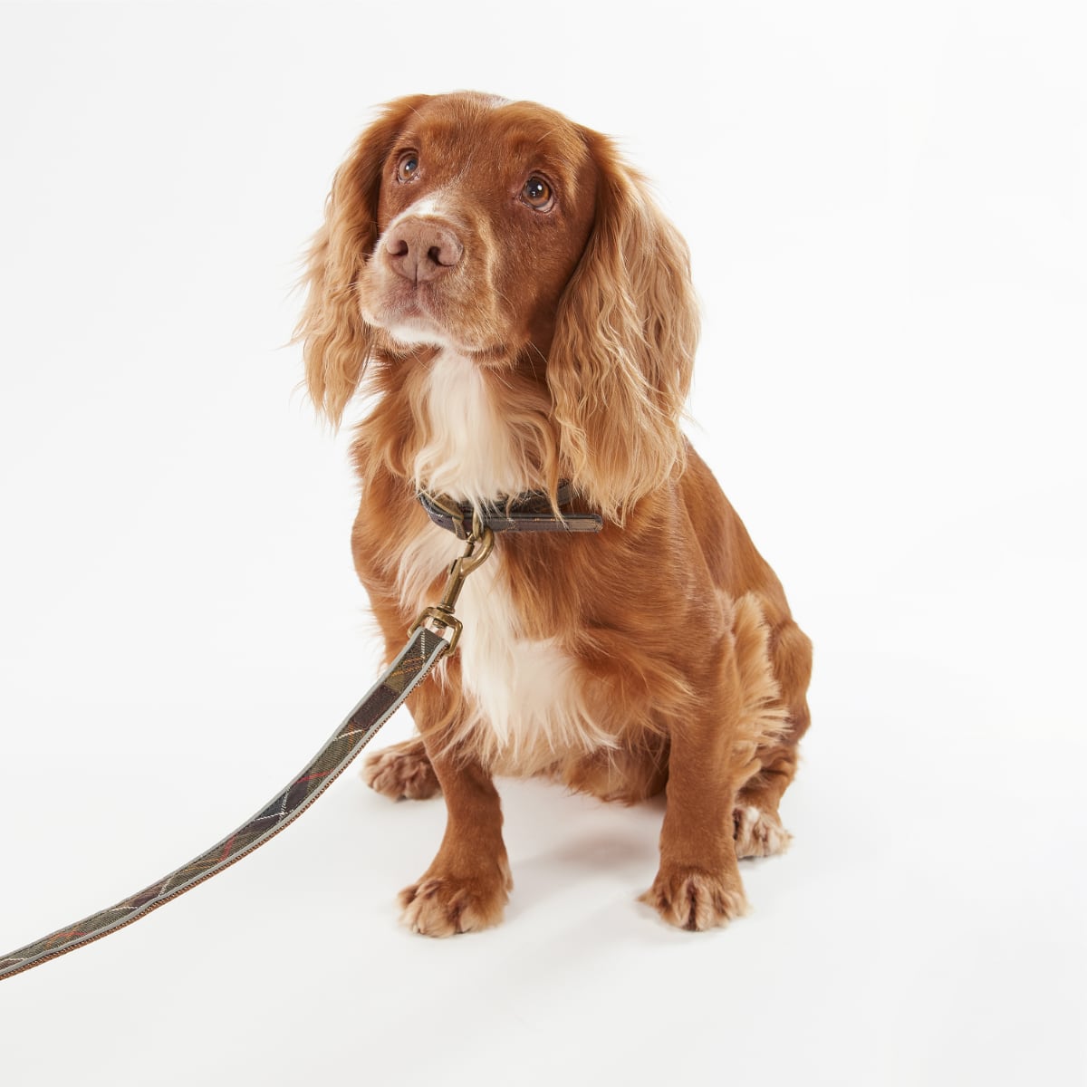 Barbour Reflective Tartan Dog Lead | Classic Tartan