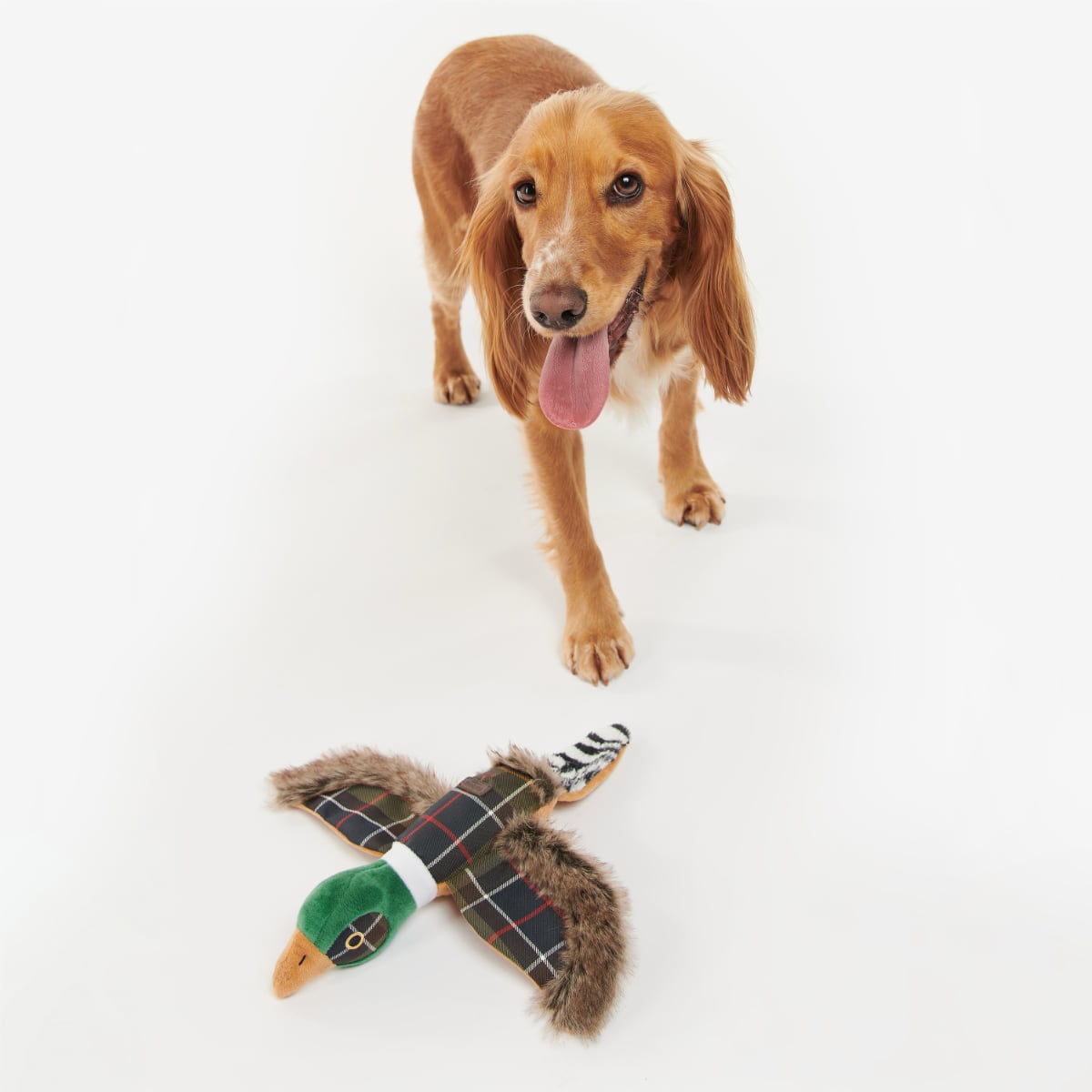 Barbour Pheasant Dog Toy | Classic Tartan