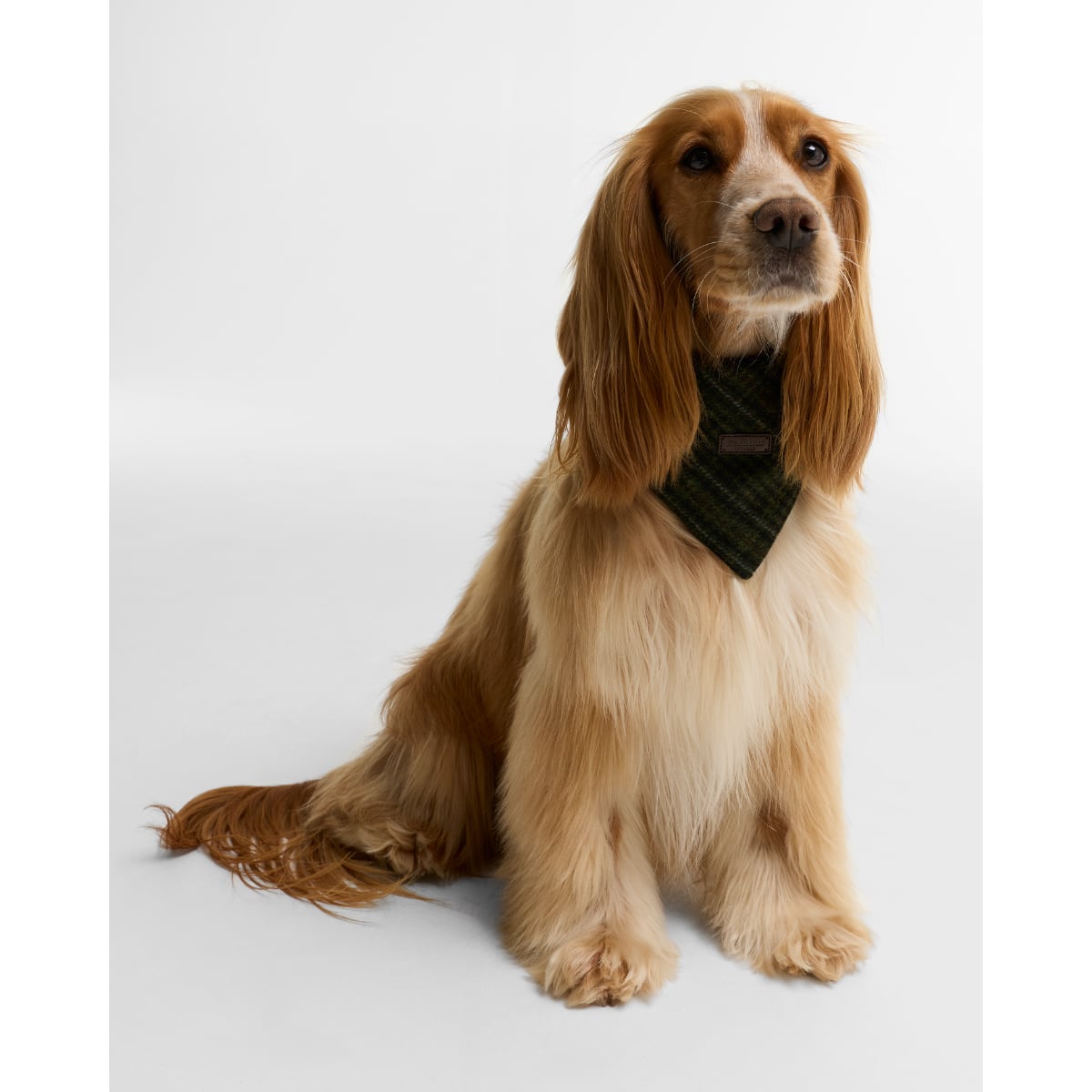 Barbour Wilkin Dog Bandana | Olive Check