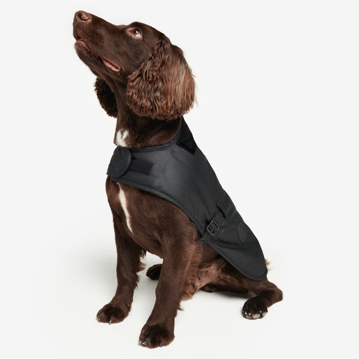 Barbour Wax Dog Coat | Black