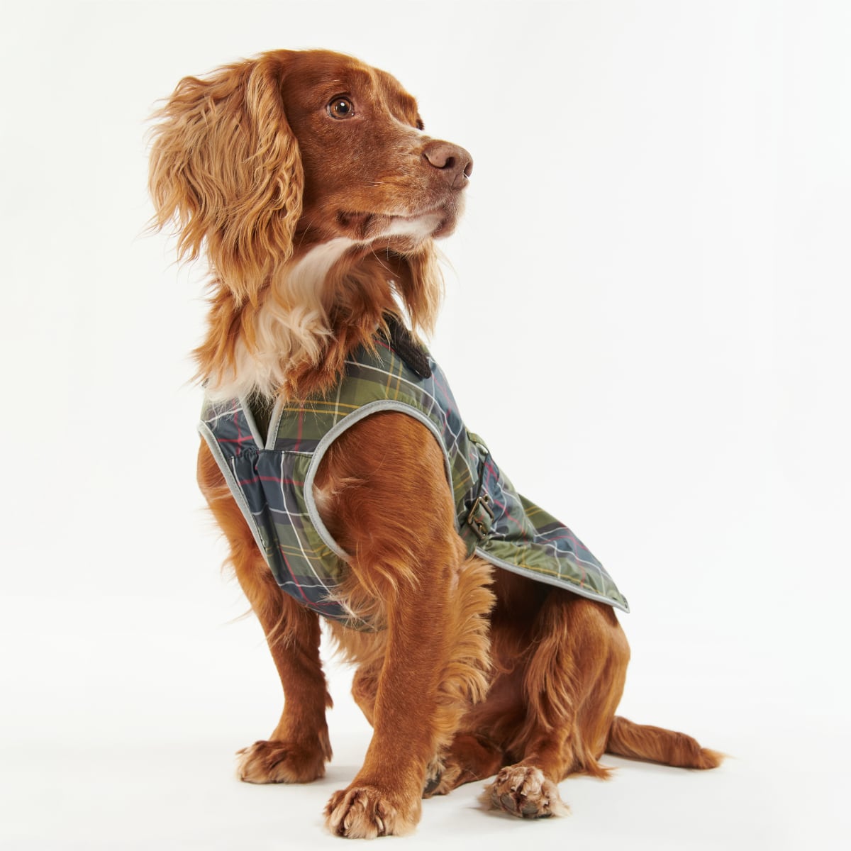 Barbour Waterproof Tartan Dog Coat | Classic Tartan