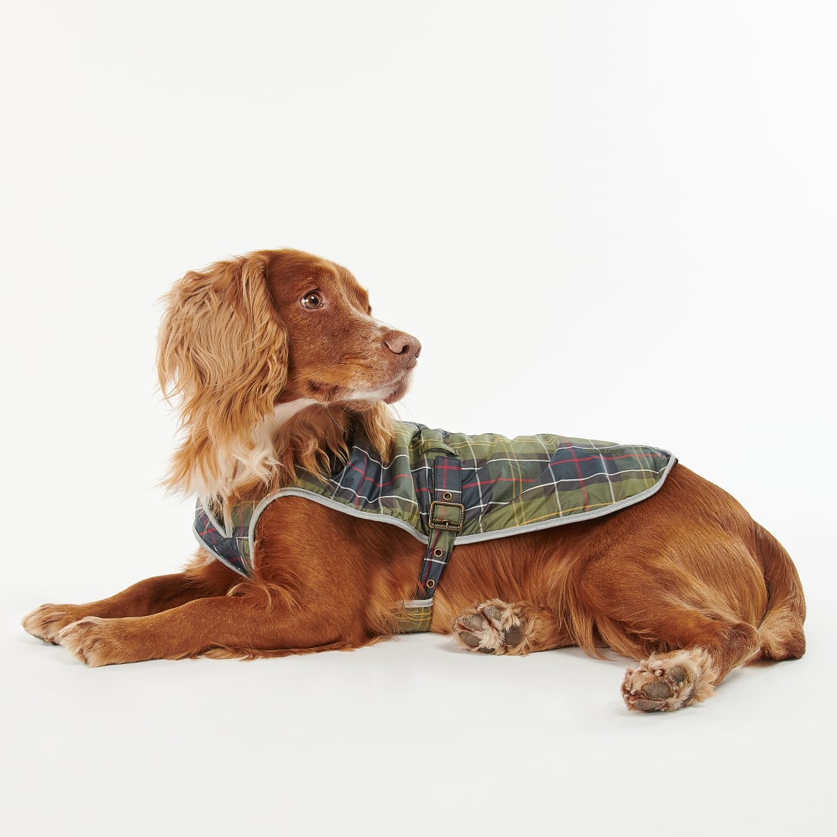 Barbour Waterproof Tartan Dog Coat | Classic Tartan