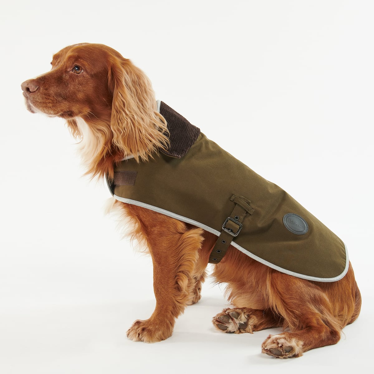 Barbour Waterproof Dog Coat | Olive