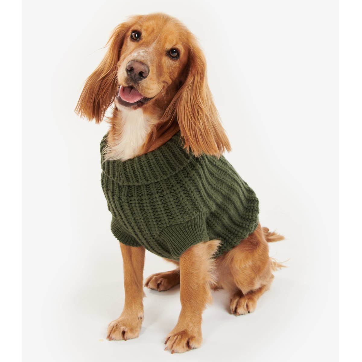 Barbour Saltburn Dog Jumper | Olive