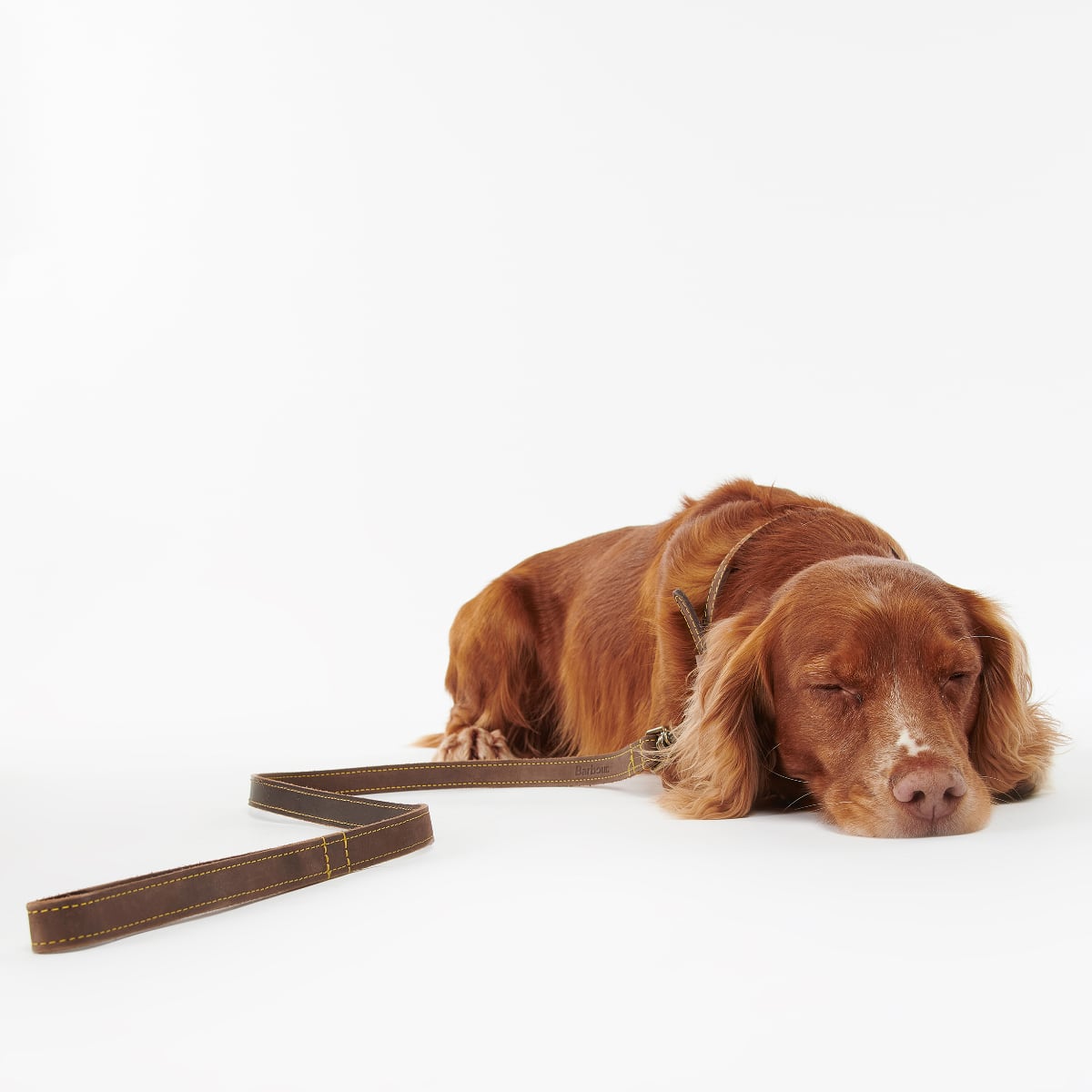 Barbour Leather Dog Lead | Brown