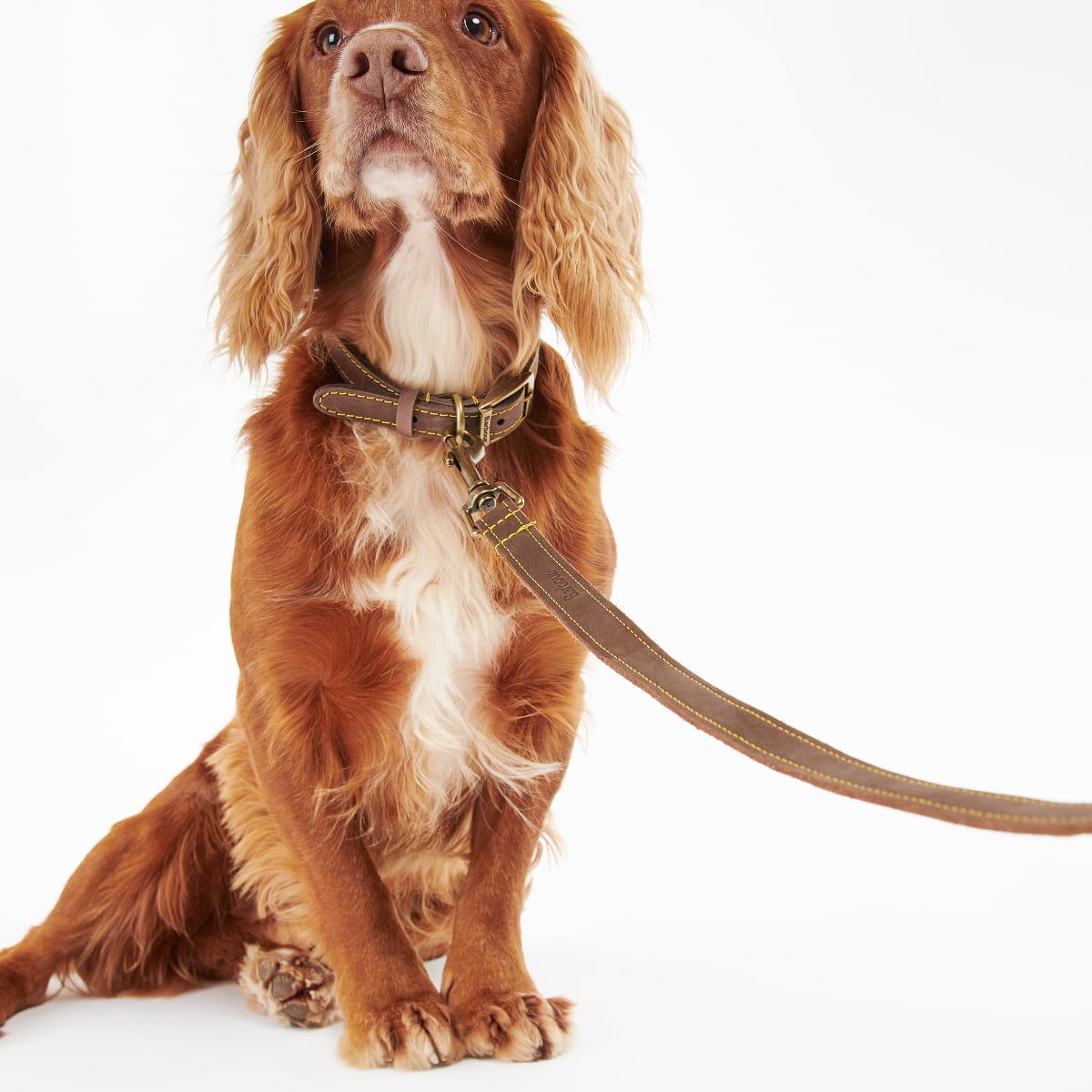 Barbour Leather Dog Lead | Brown
