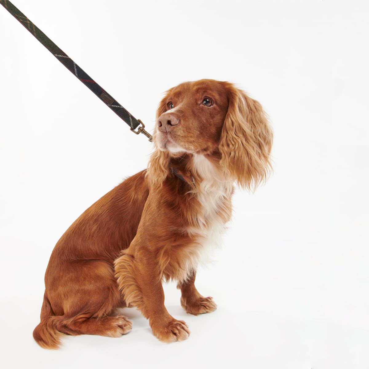 Barbour Tartan Dog Lead | Classic