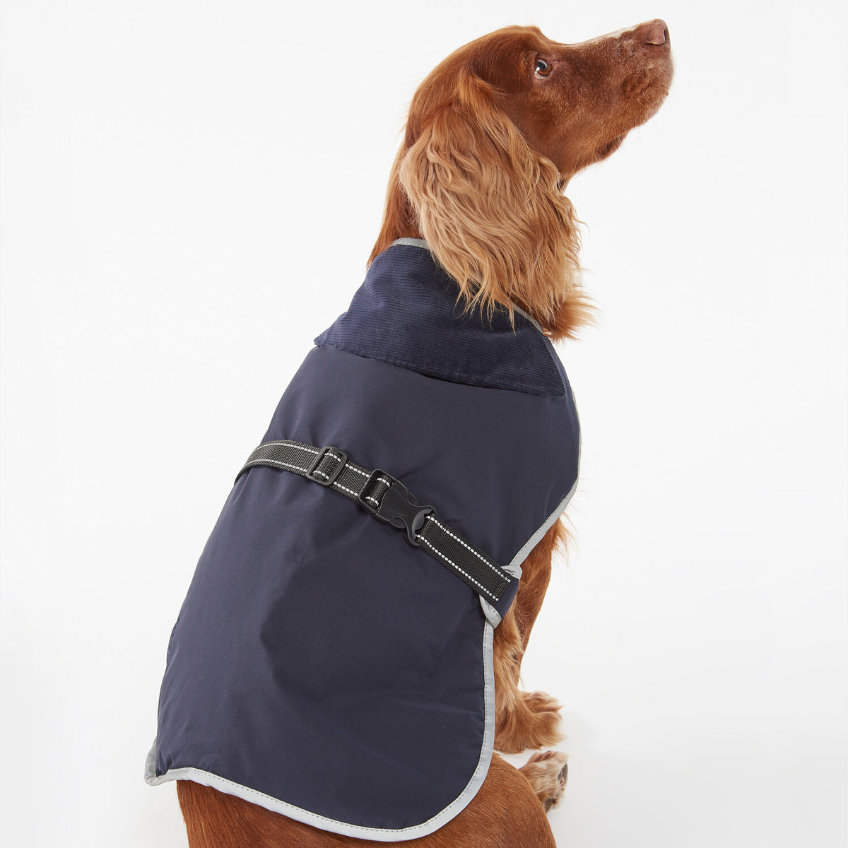 Barbour Monmouth Waterproof Dog Coat | Indigo