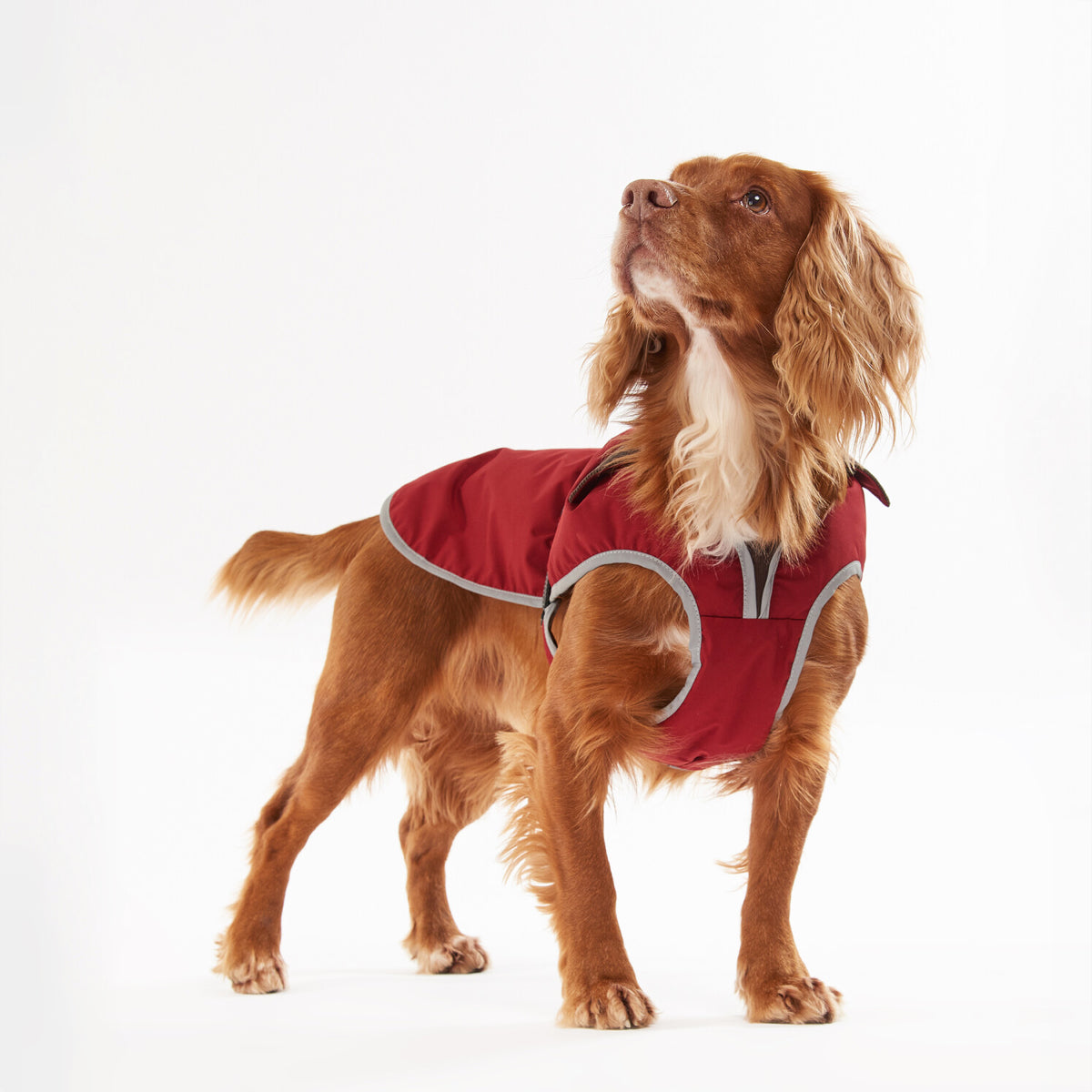 Barbour Monmouth Waterproof Dog Coat | Red