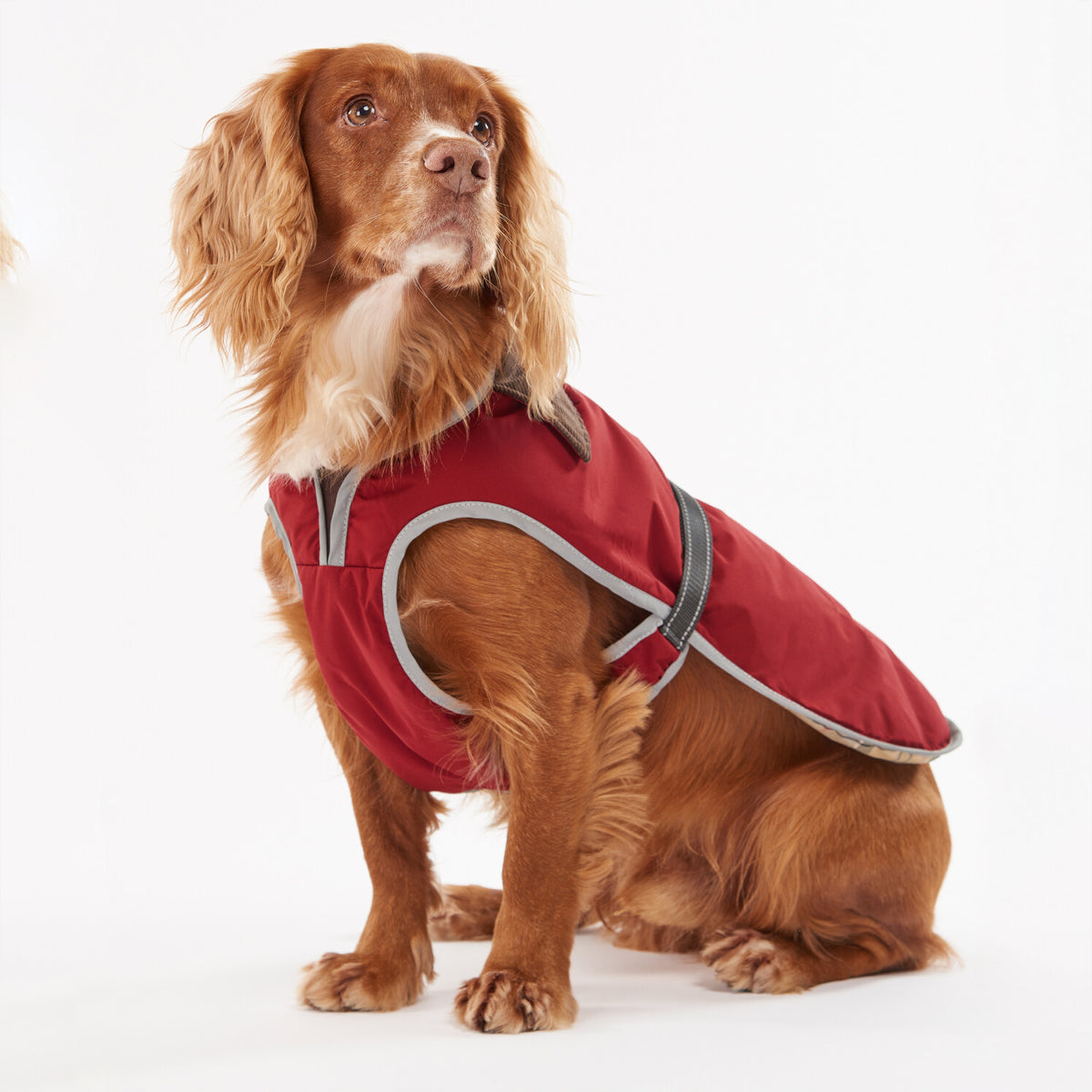 Barbour Monmouth Waterproof Dog Coat | Red