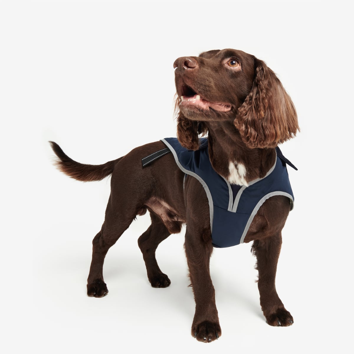 Barbour Monmouth Waterproof Dog Coat | Navy