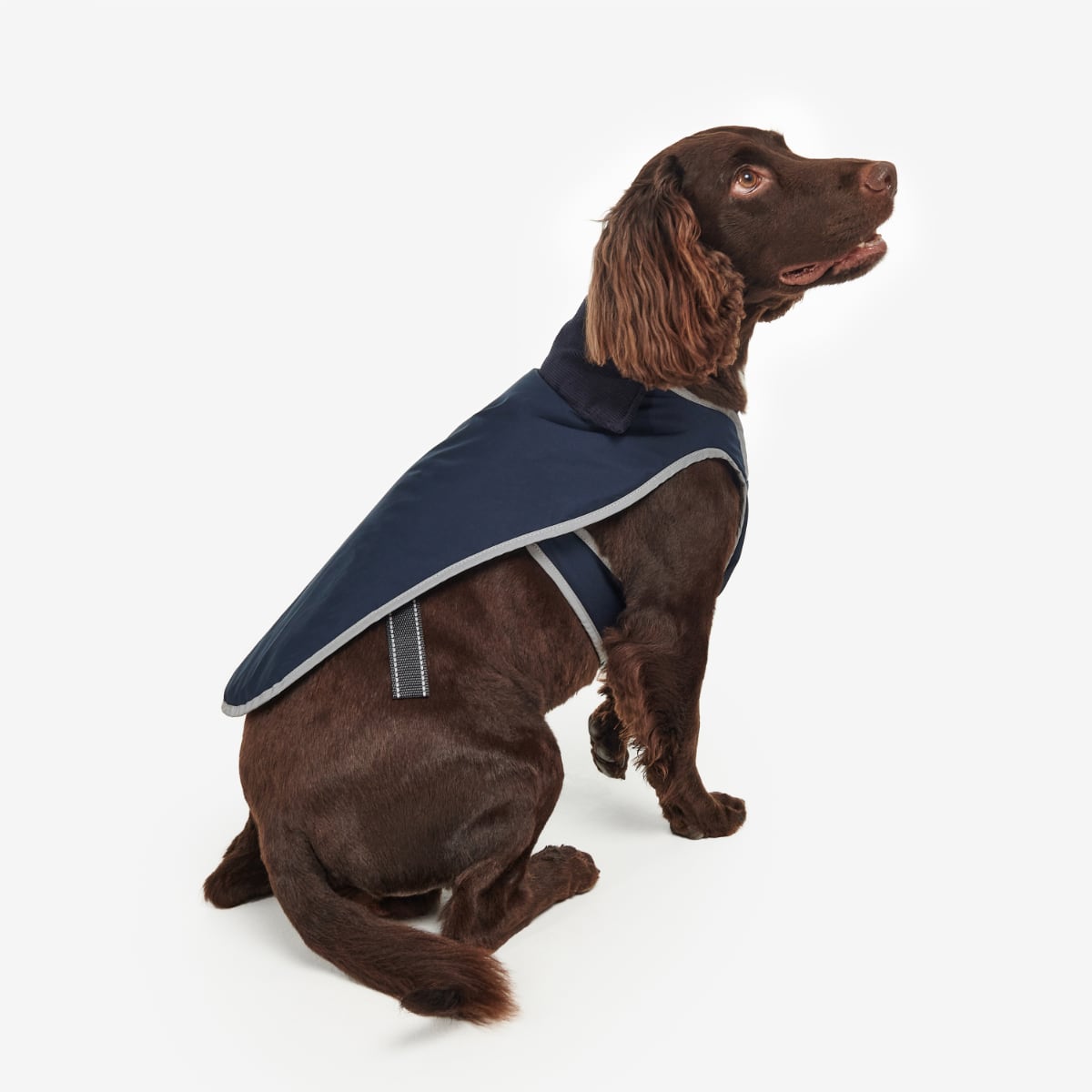 Barbour Monmouth Waterproof Dog Coat | Navy