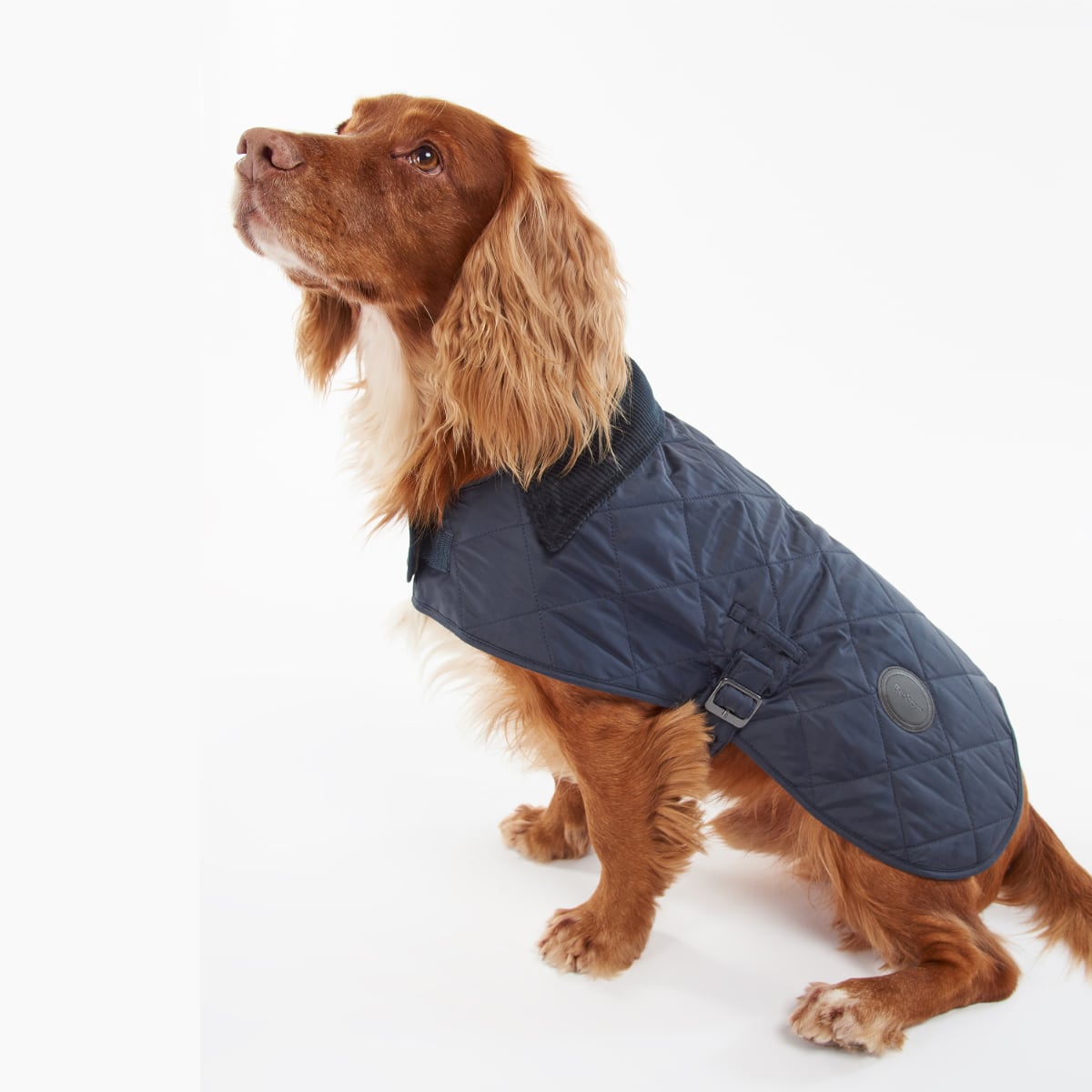 Barbour Quilted Dog Coat | Navy