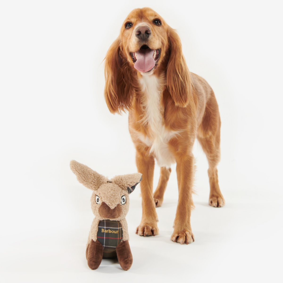 Barbour Dog Toy Rabbit