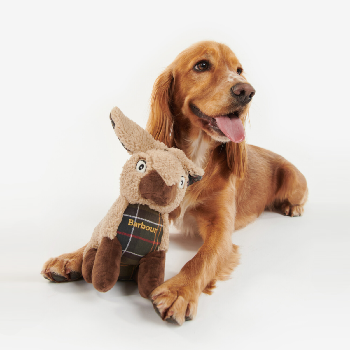 Barbour Dog Toy Rabbit