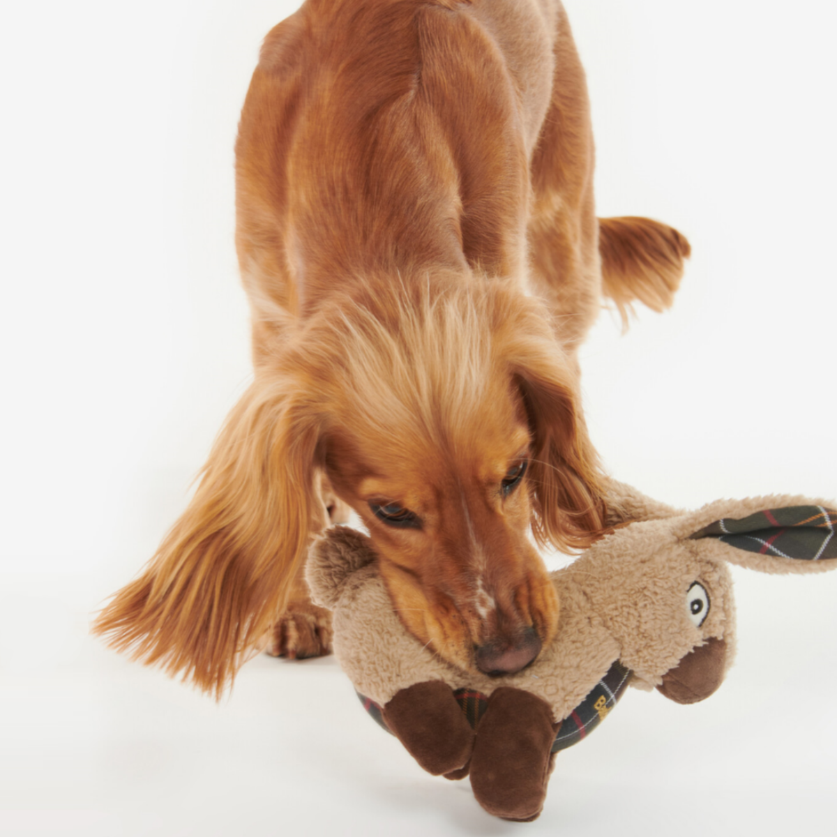 Barbour Dog Toy Rabbit