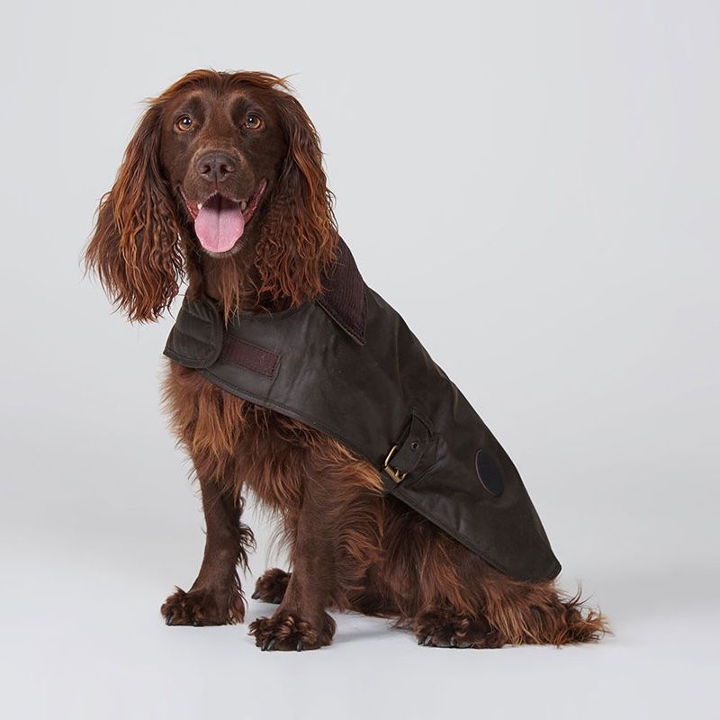 Barbour Wax Dog Coat | Olive
